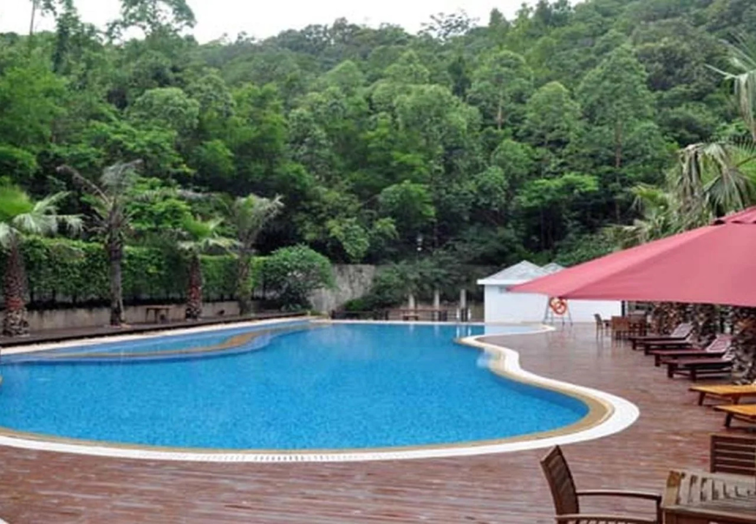 The Lotus Villa Hotel