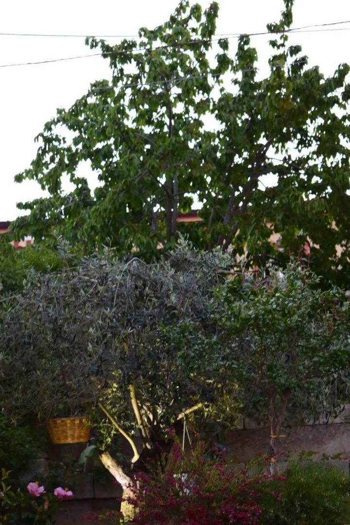 La Vecchia Taverna B&B