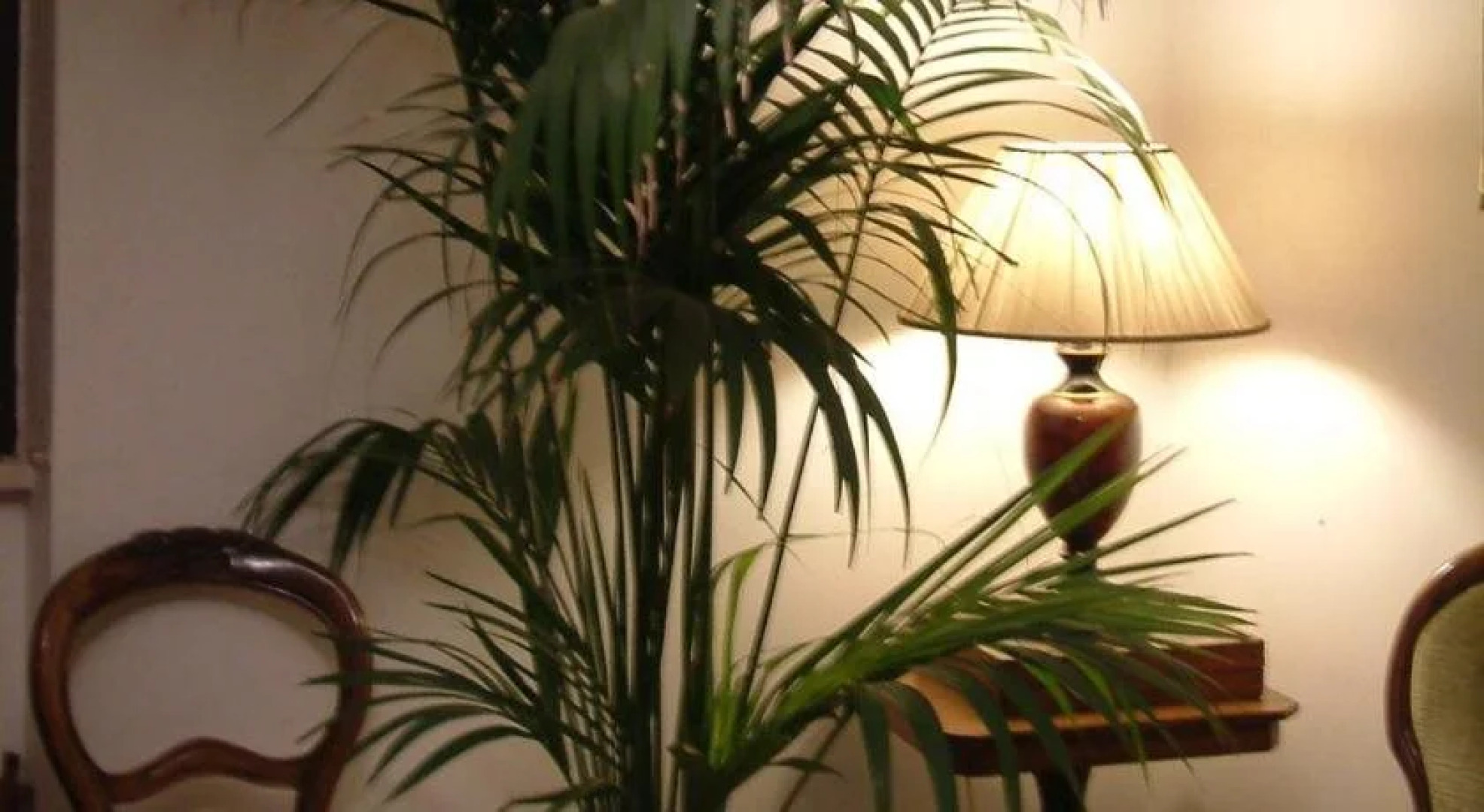 Masseria Chiancarella