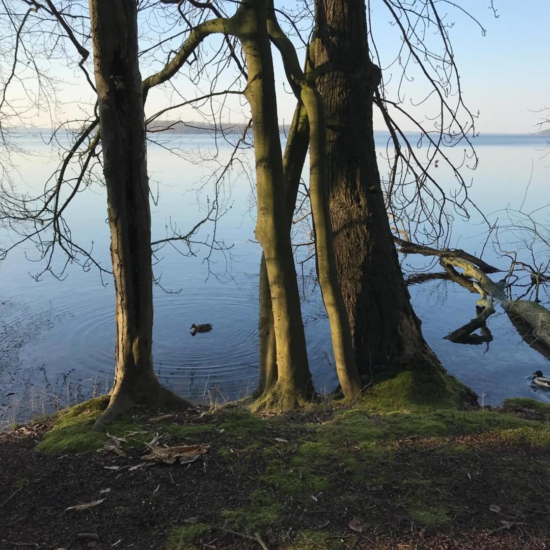 Raben Steinfeld Forststraße 3 Residenzpark