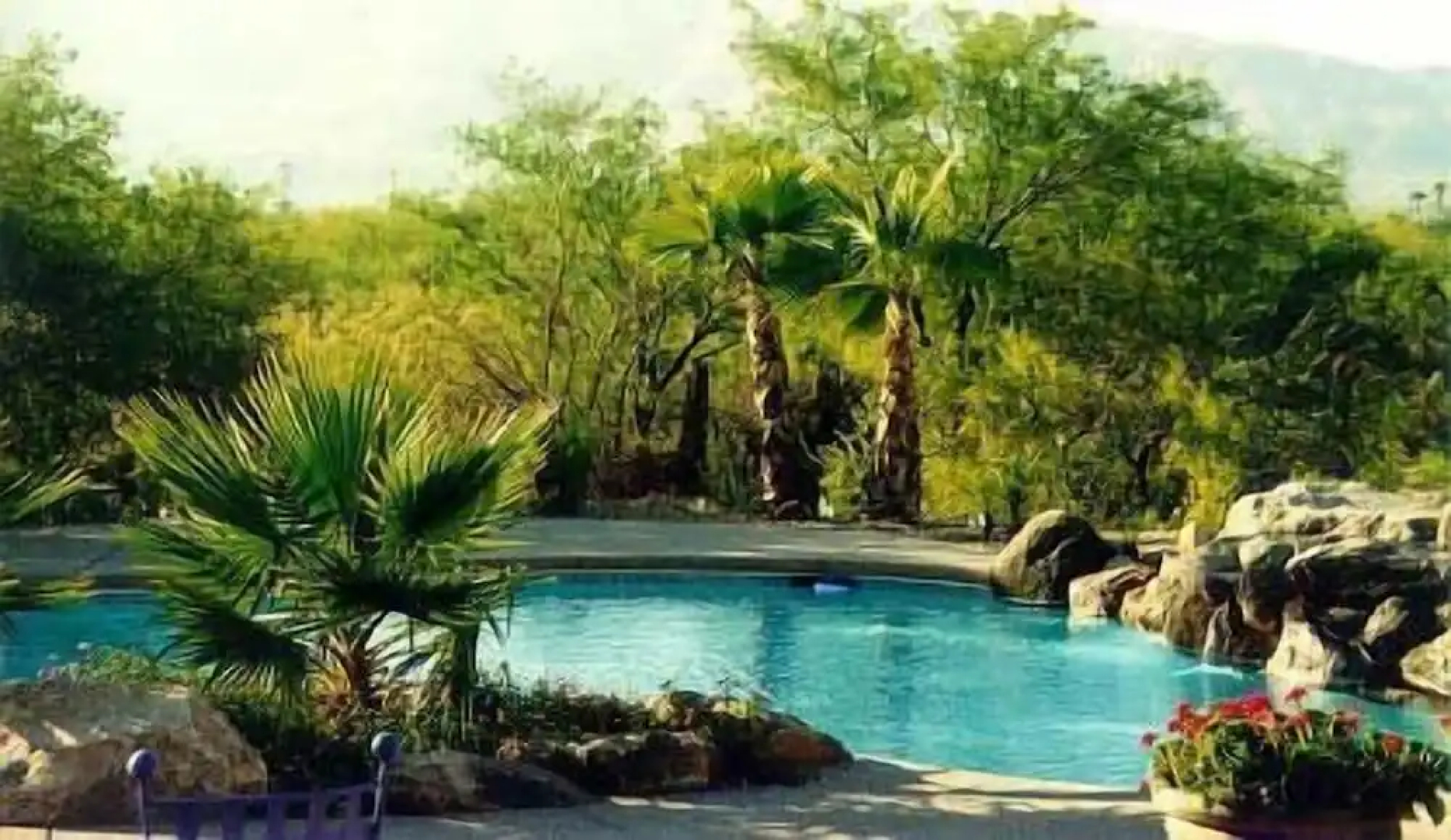 Cactus Cove