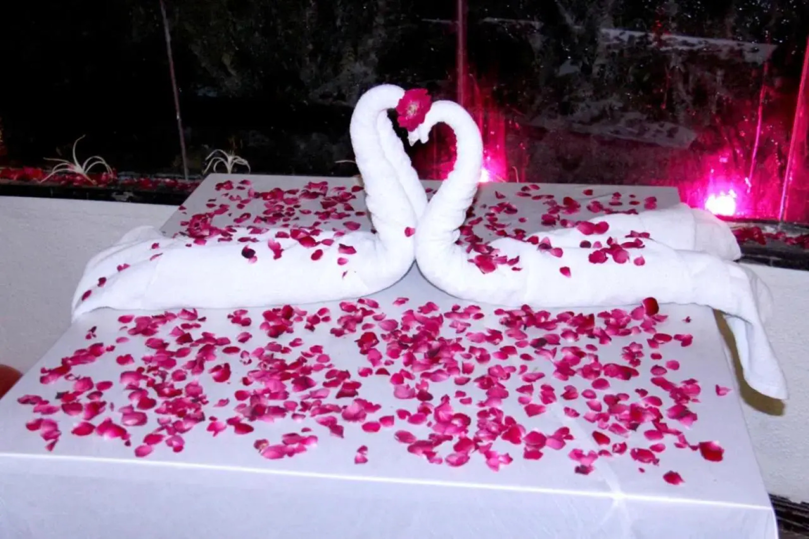 The Fern Residency Rajkot, Series by Marriott