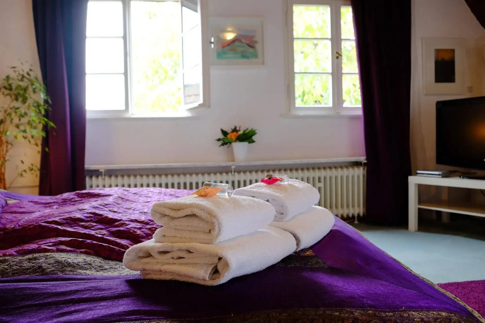 RheinRiver Guesthouse - Direkt am Rhein