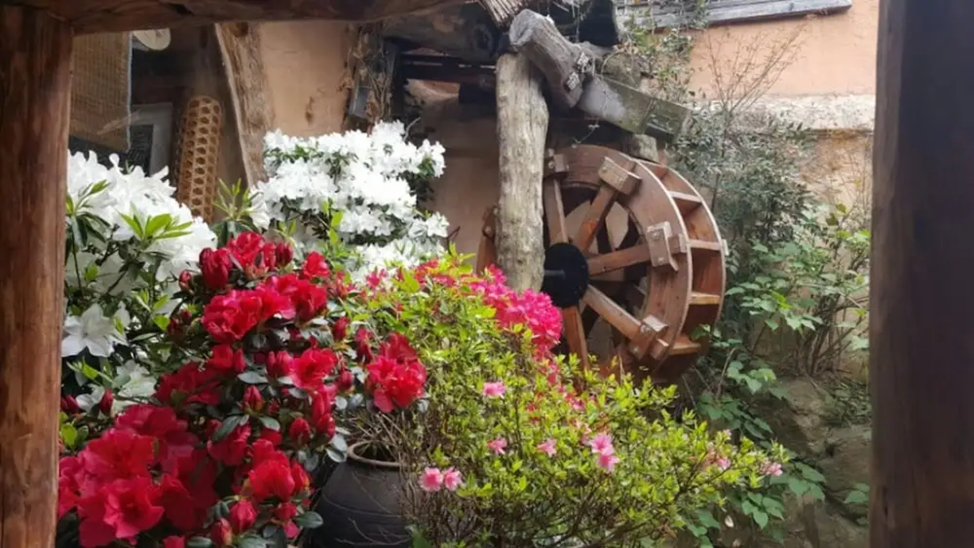 Lee Taek Gu Sarangchae 1