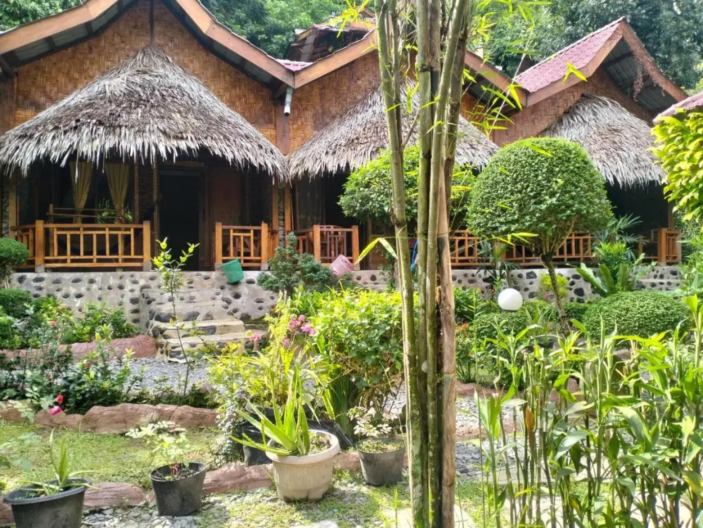 Junia Guesthouse Bukit Lawang