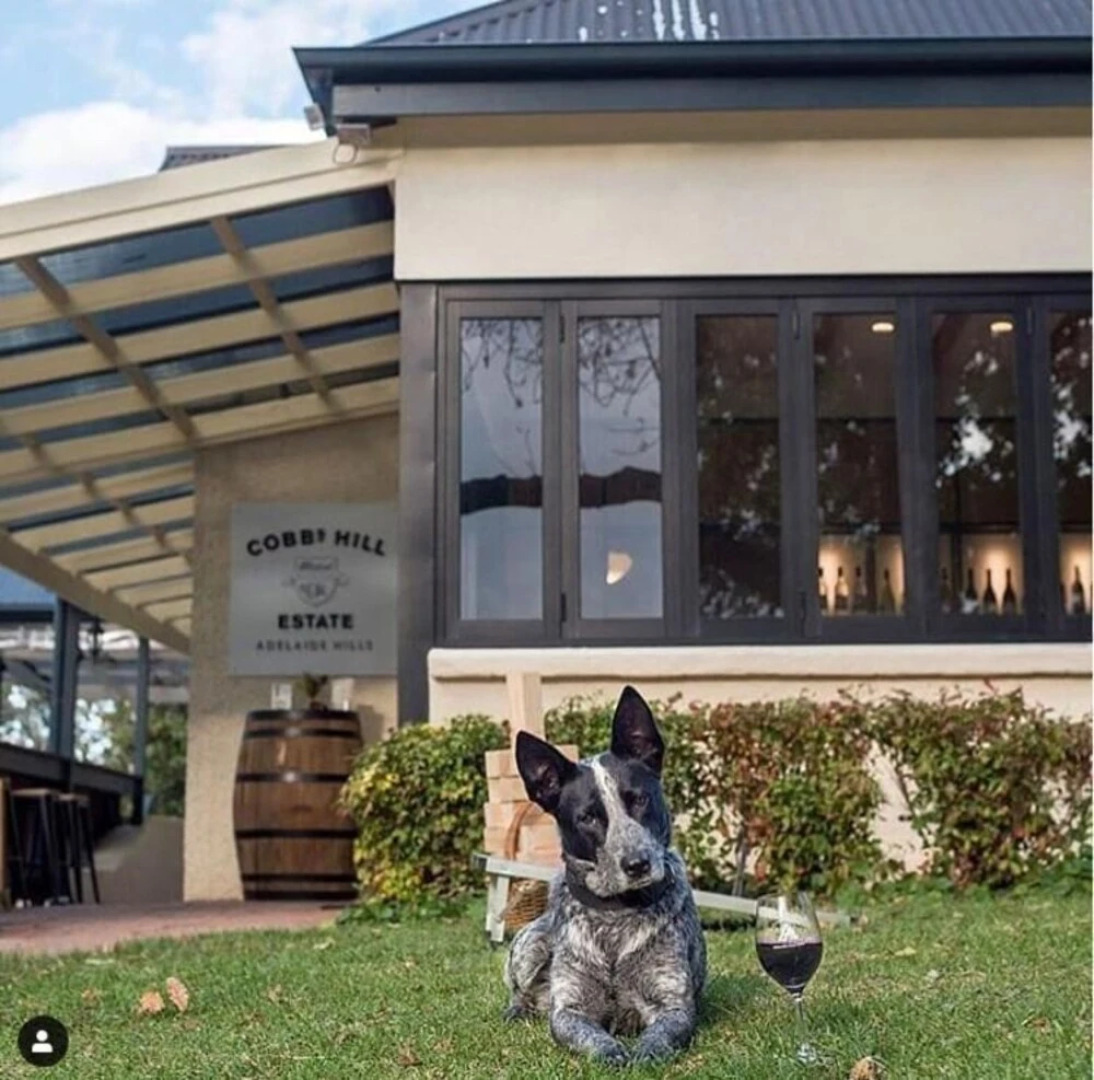 Cobb's Hill Homestead