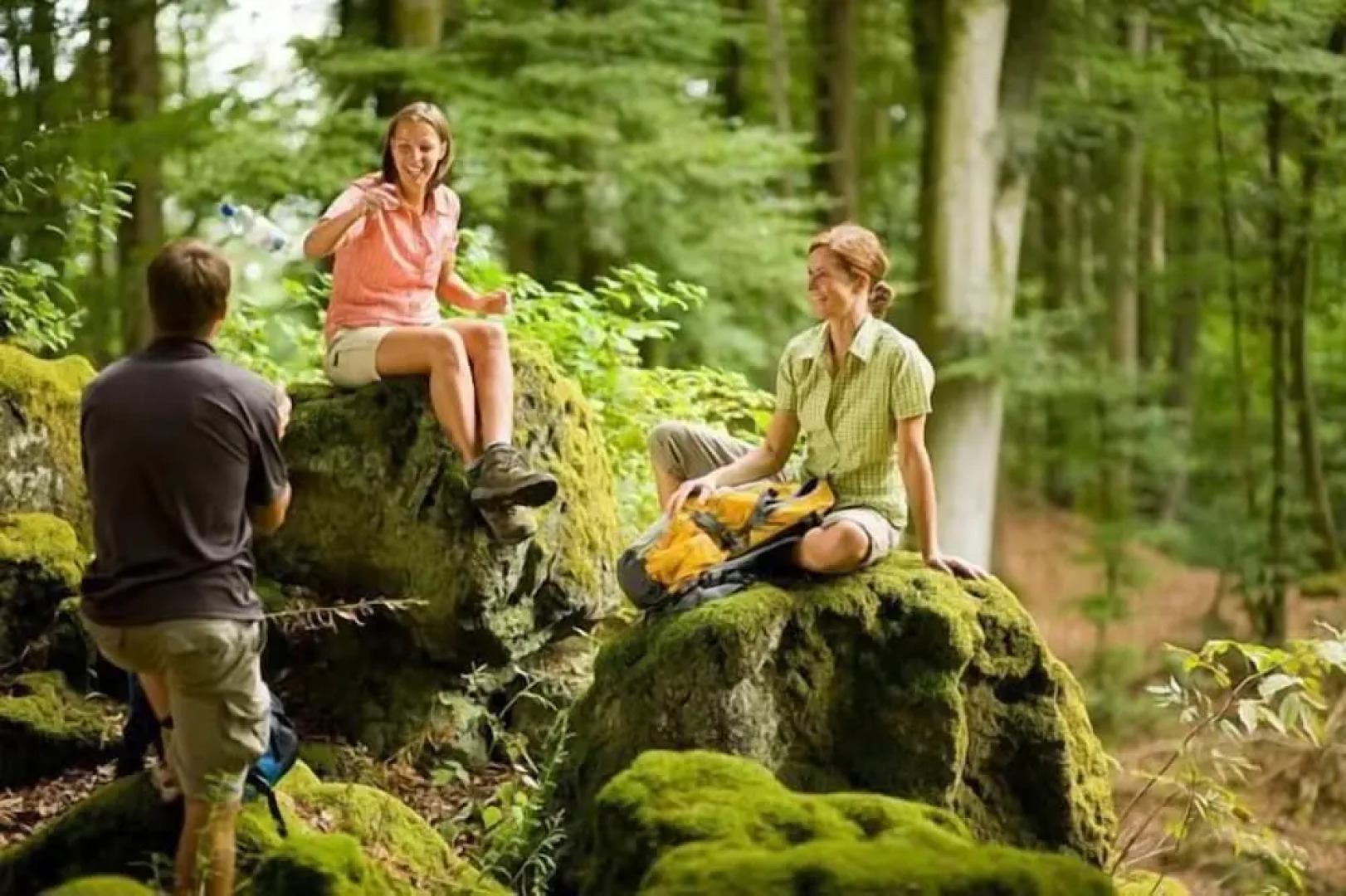 Nengshof - Haus Wildrose