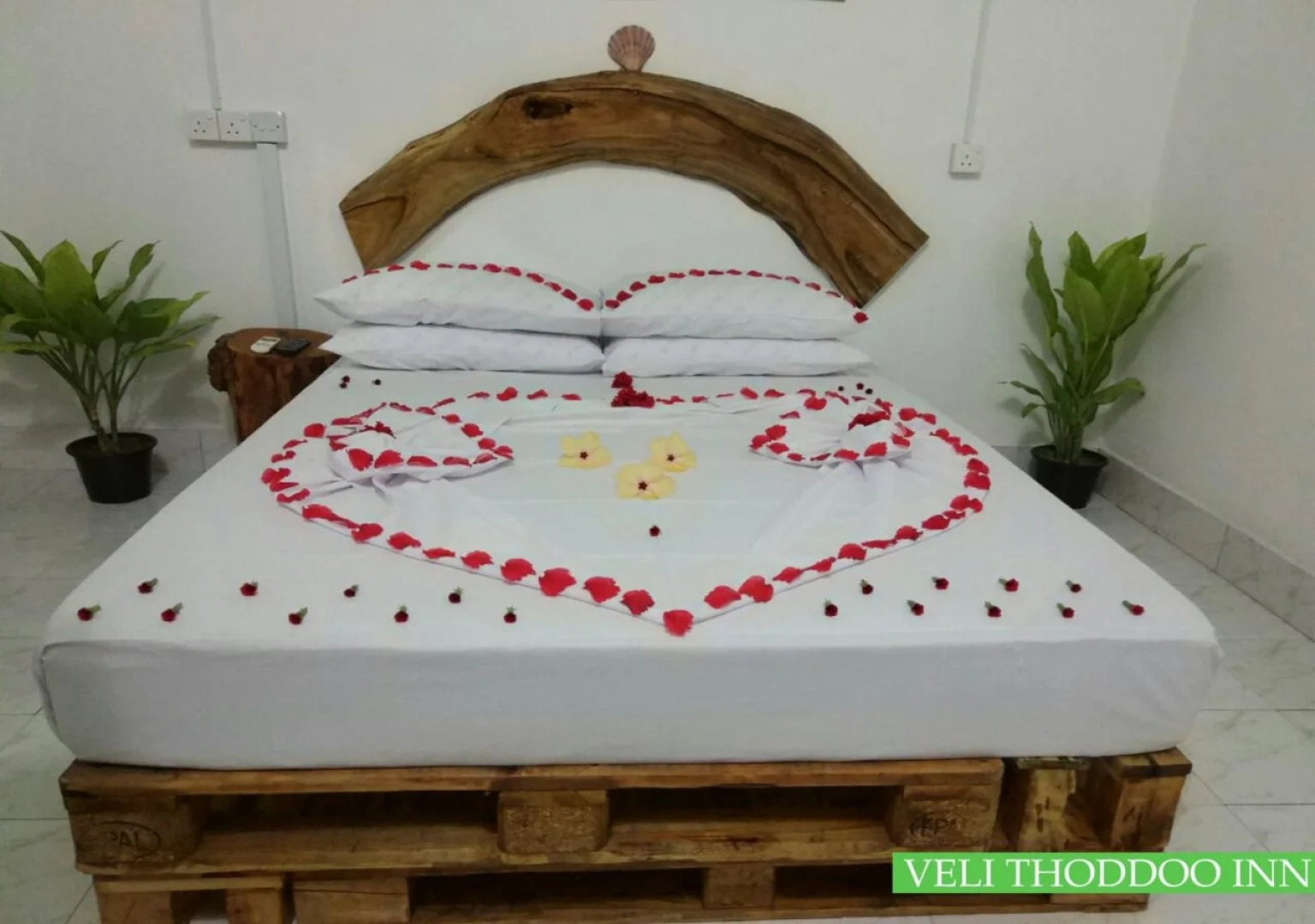 Гостевой дом Veli Thoddoo