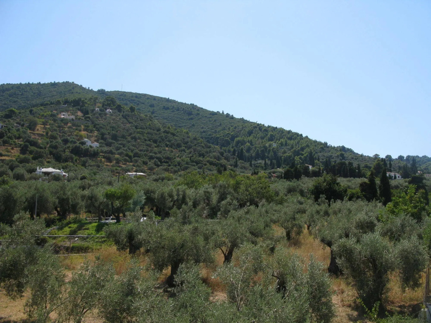 Hotel Prince Stafilos