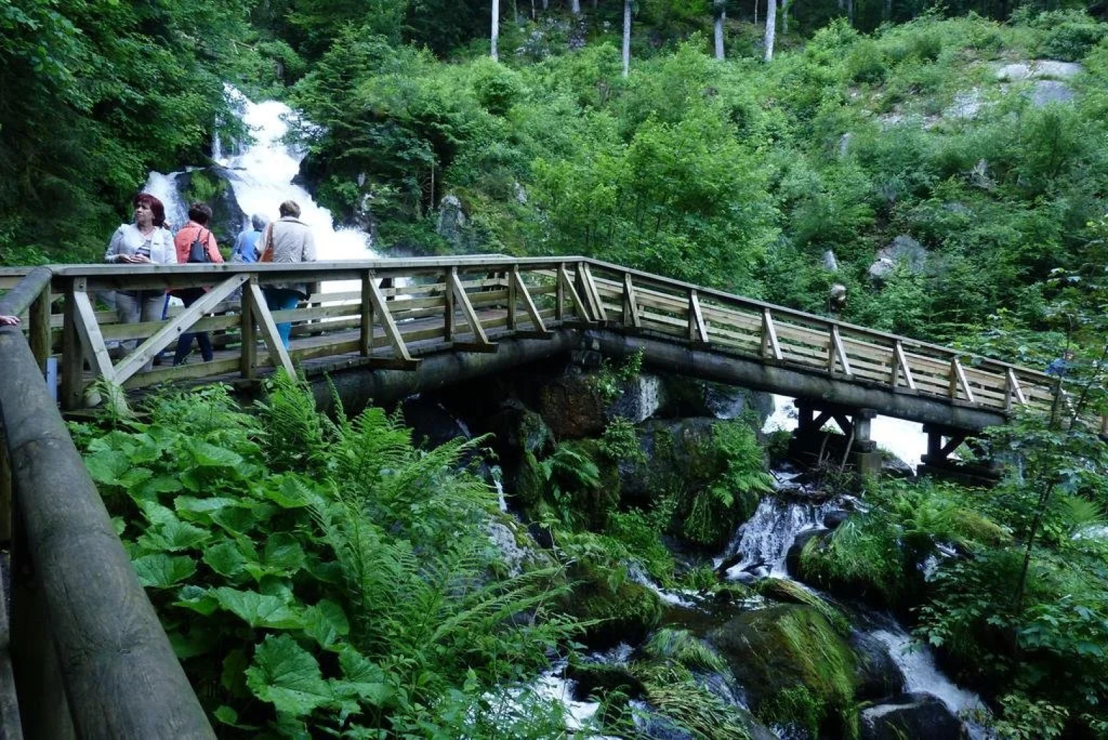 Hotel Bären Titisee