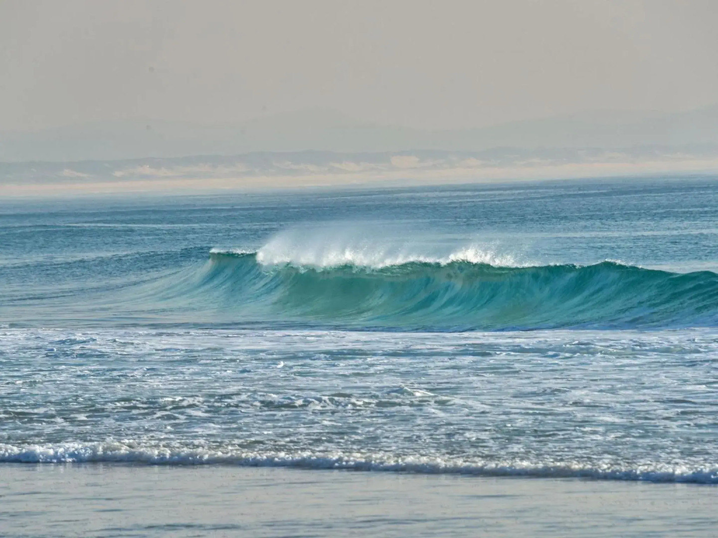 Aquarius Apartment 4