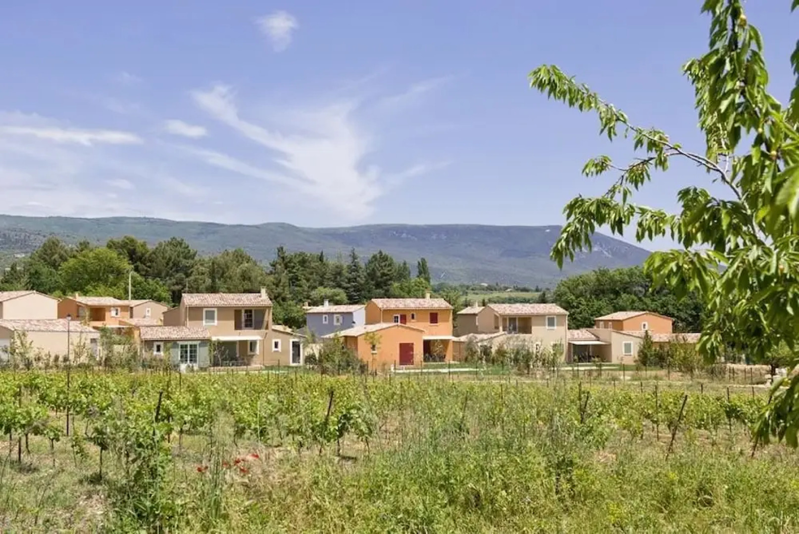 ESTIVEL - Le Clos Savornin