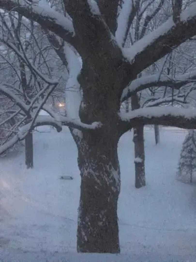 The Renwick Clifton House