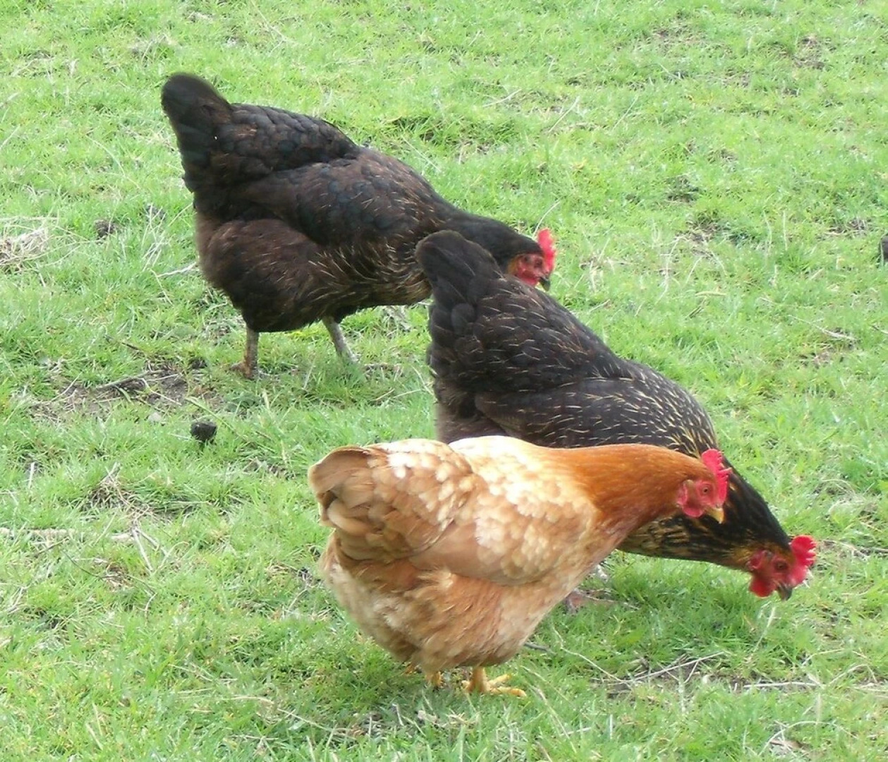 Wheelgate Bed & Breakfast