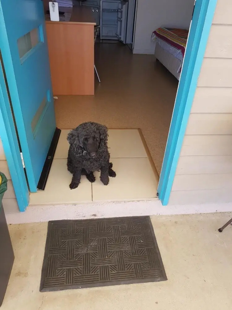 A Country View Motel