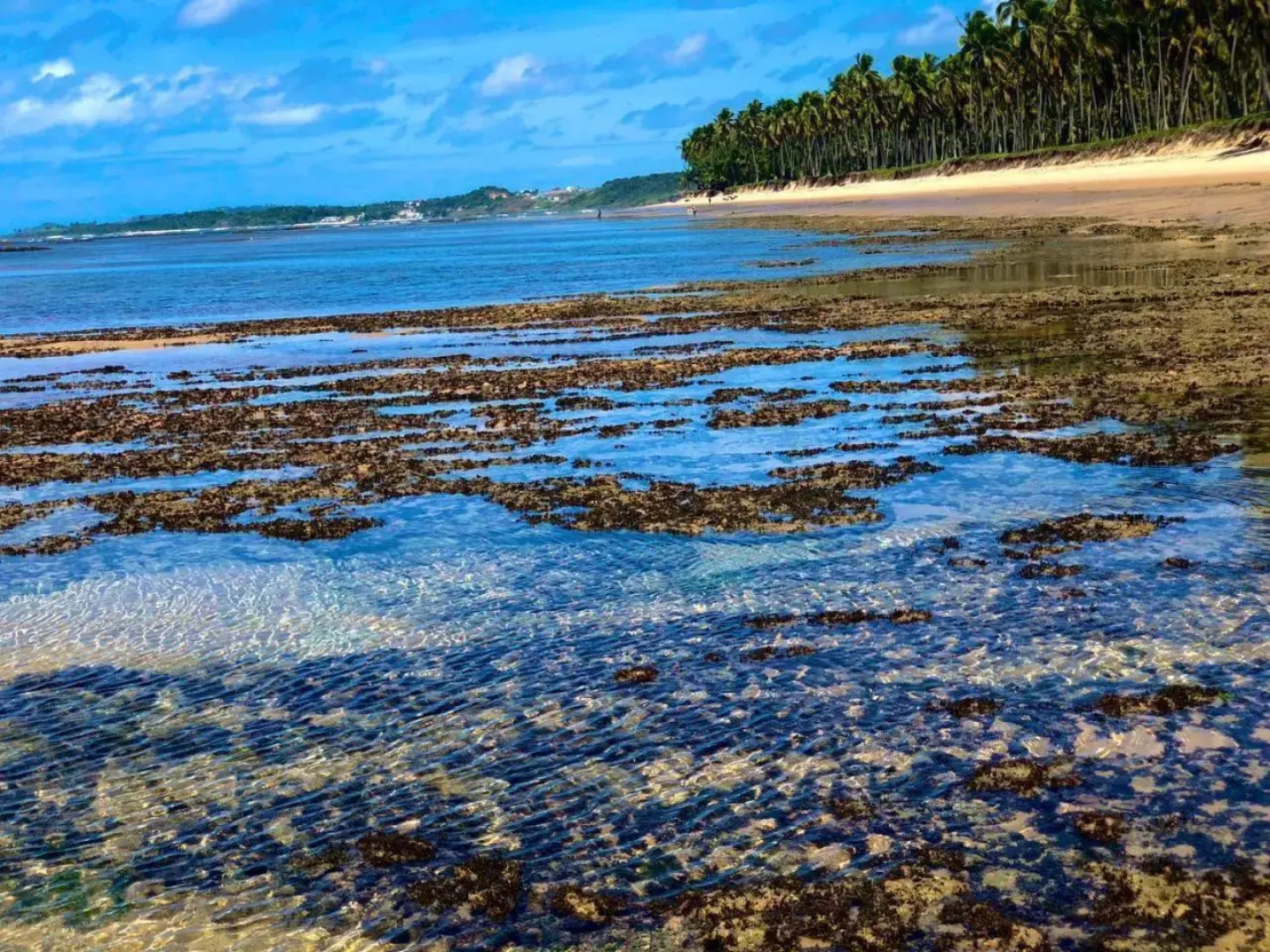 Reserva Do Paiva - A Melhor Casa Para Temporada