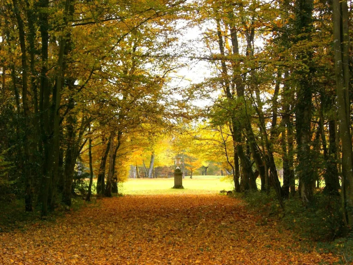 Château du Golf de La Freslonnière