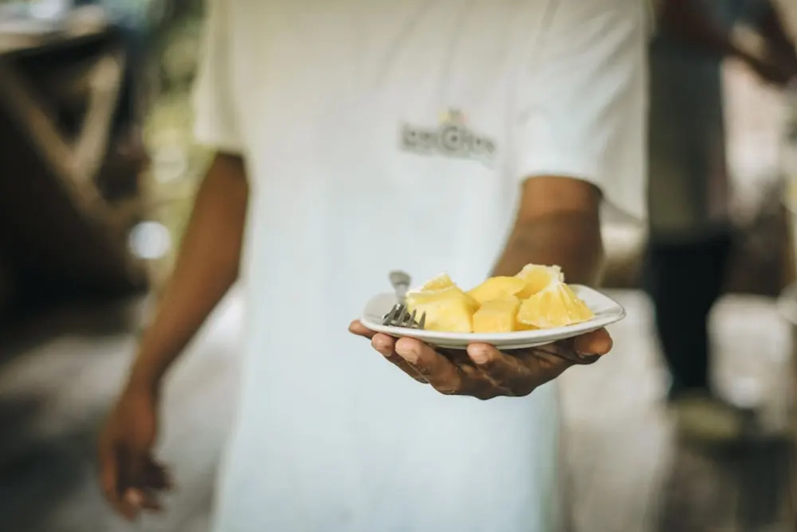 Tigrillo Rio Claroby LosColoresEcoparque