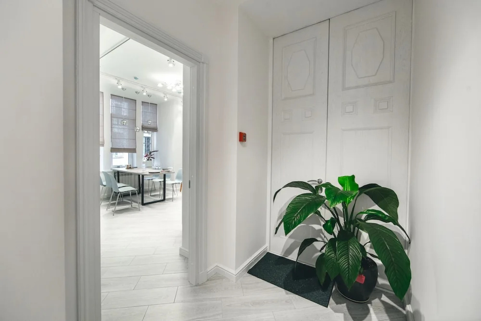 Safe Haven Nevsky 95 - Hostel