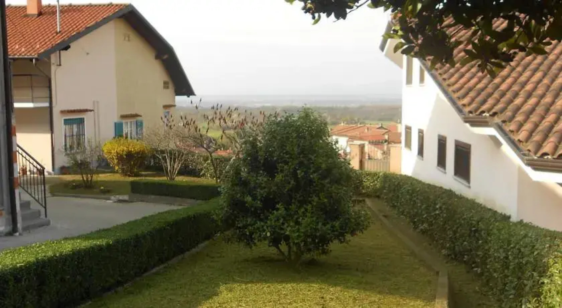 Il Bosco dei Ciliegi