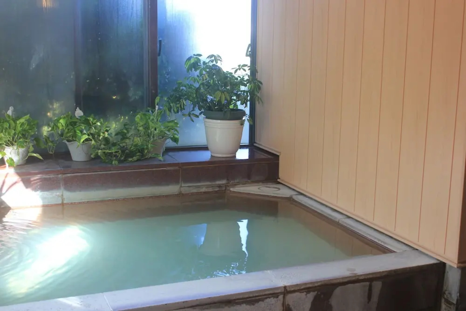 Hakone Gora Guam Dog