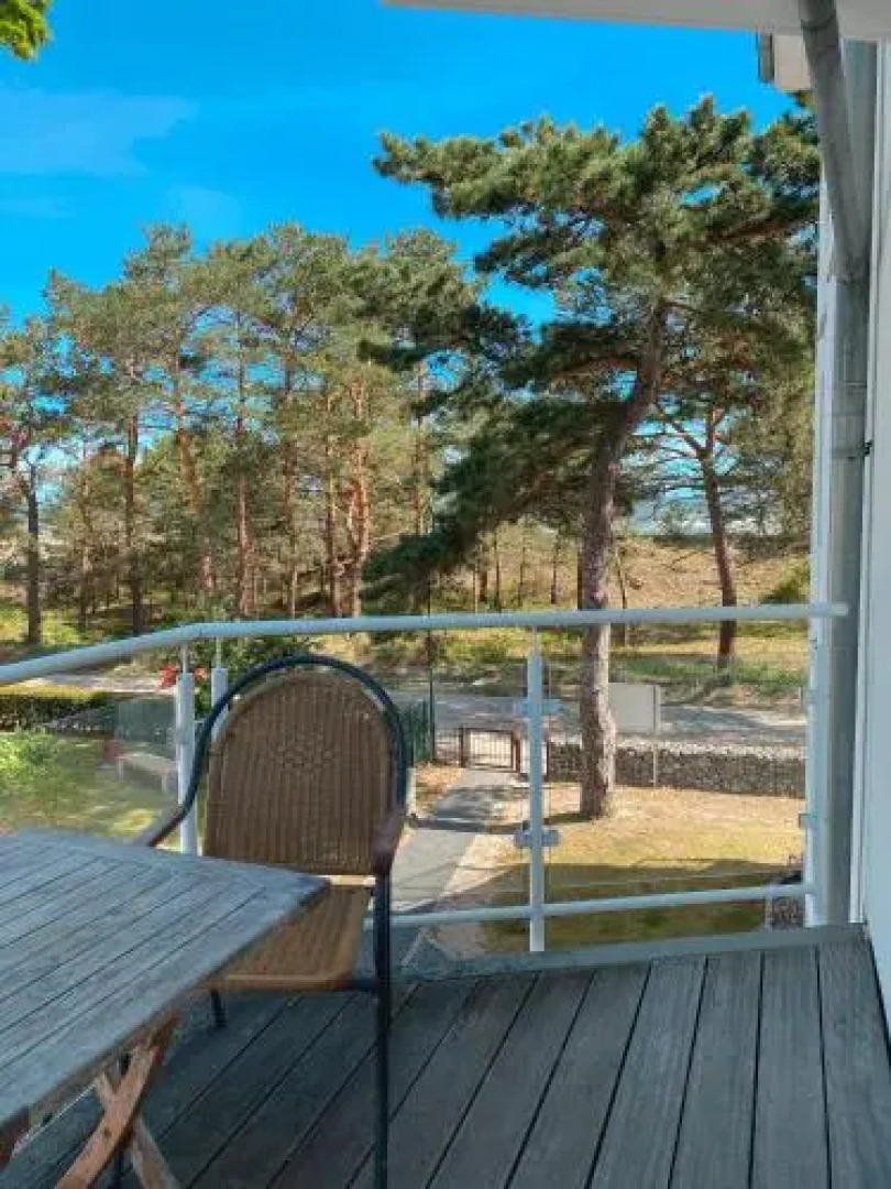 Ostseeresidenz Gorki- Park - 16