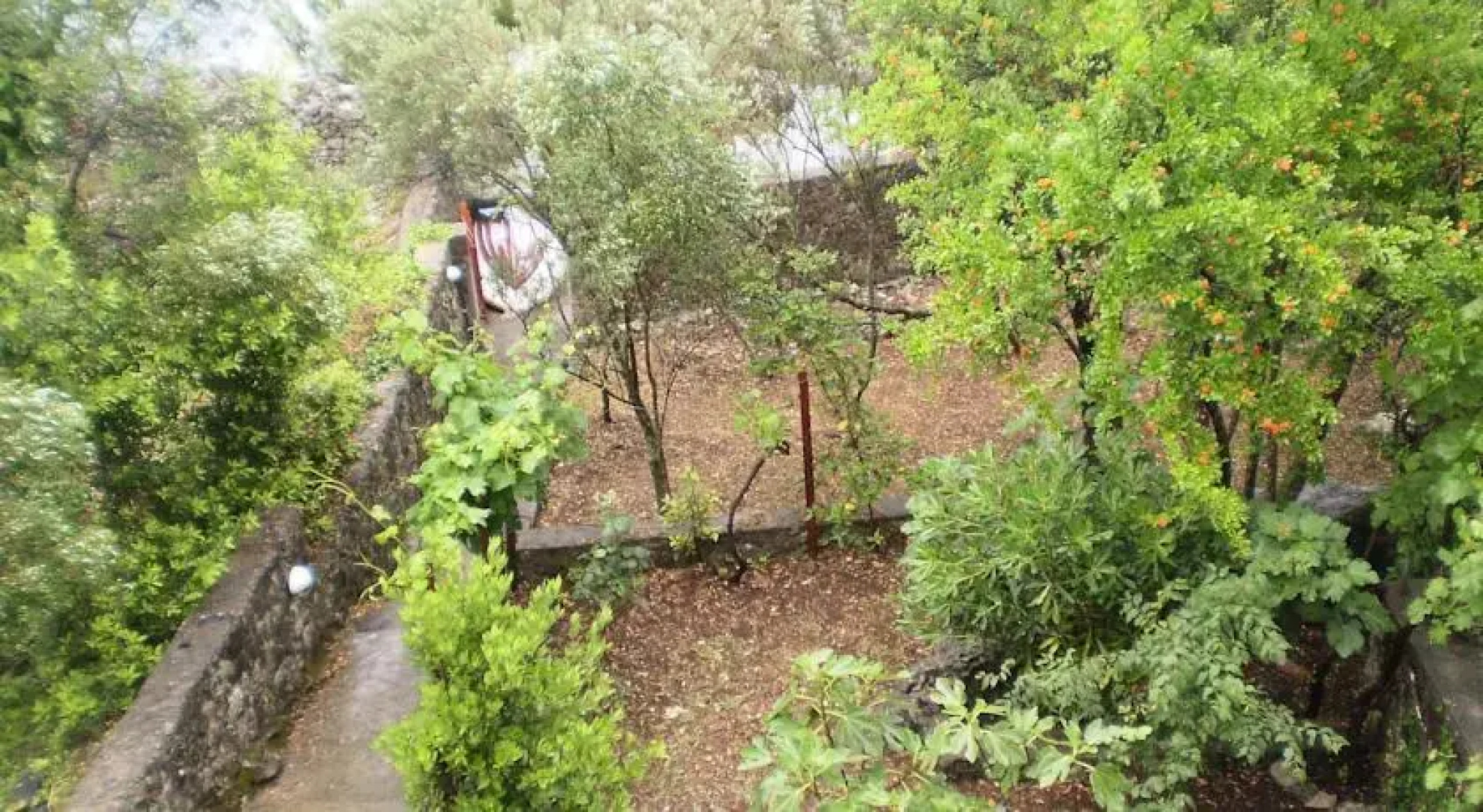 Krasici Green House