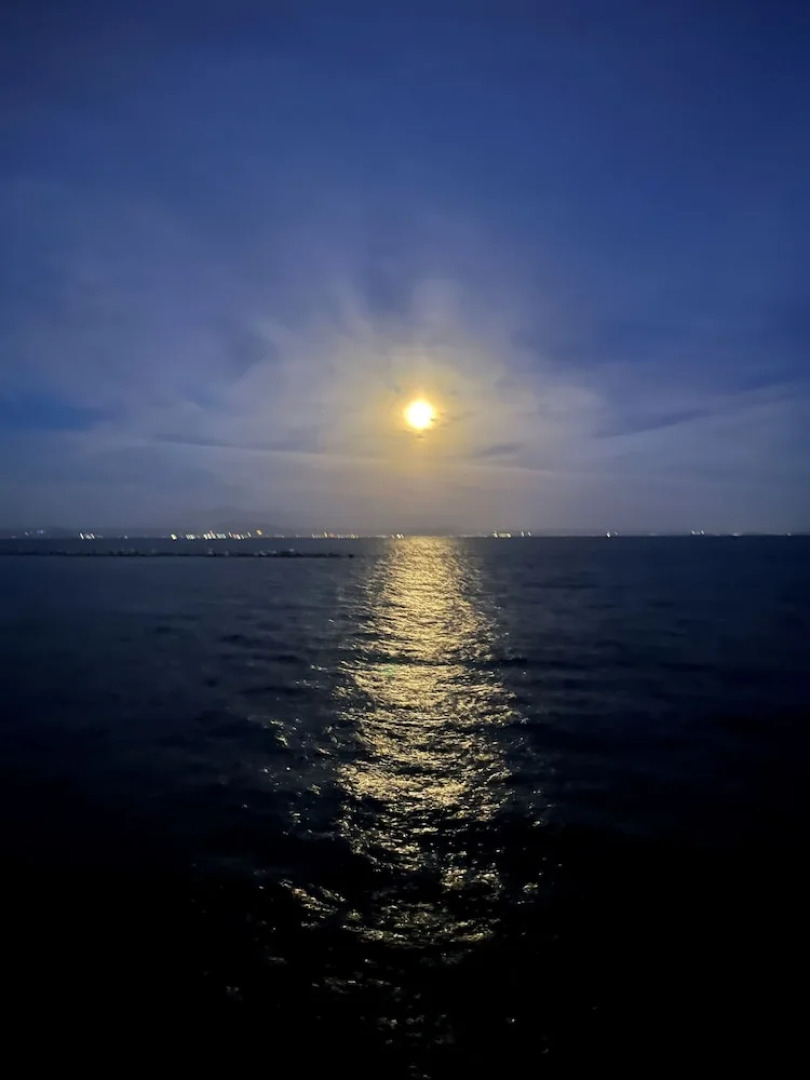 Oceanfront Villa Hale Kahakai