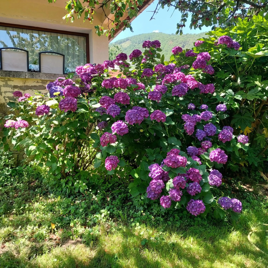 Puente Canto de Gredos