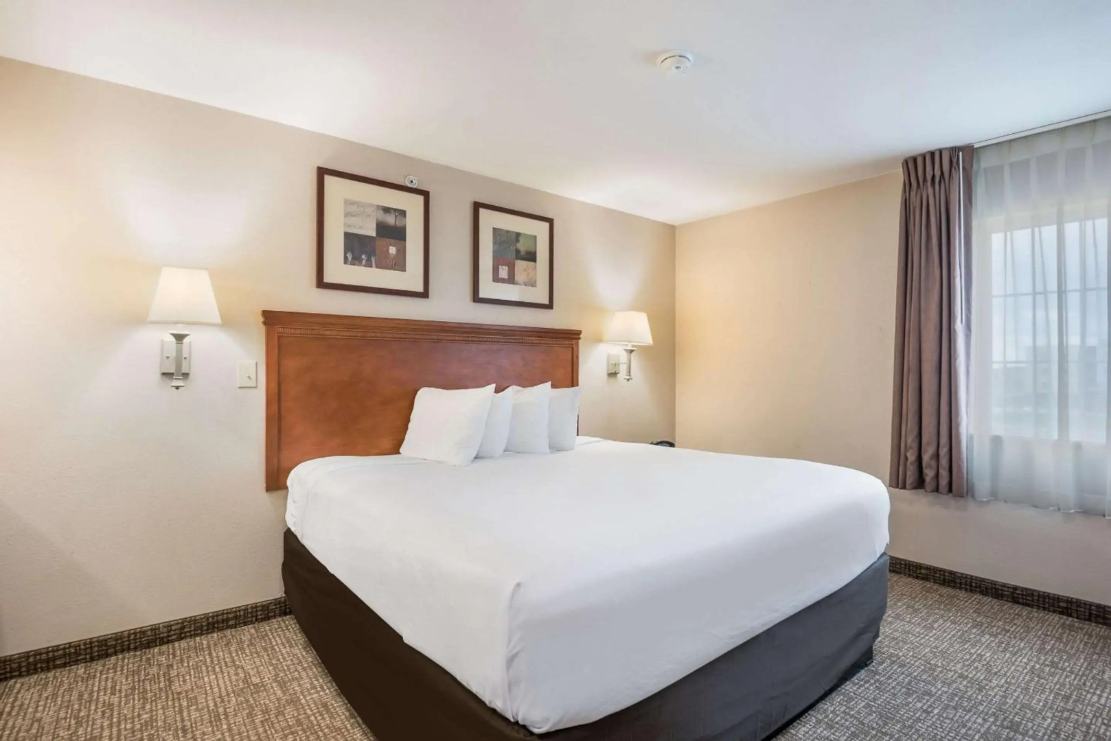 Suburban Studios Waterloo