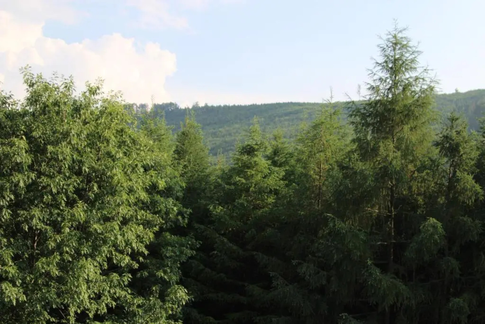 Willa na Wzgórzu Brenna