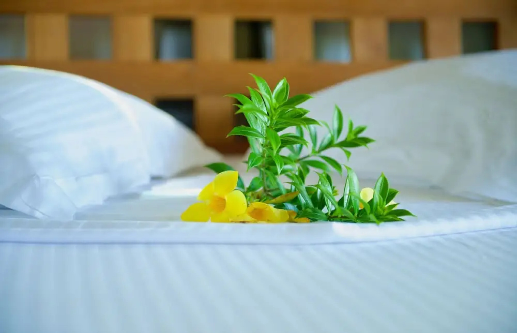 Le Domaine Du Rocher Noir