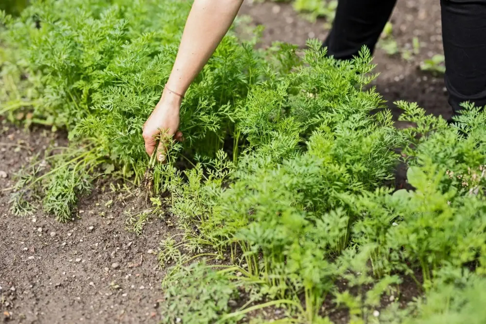 Boutique Hotel Zum Oberjäger