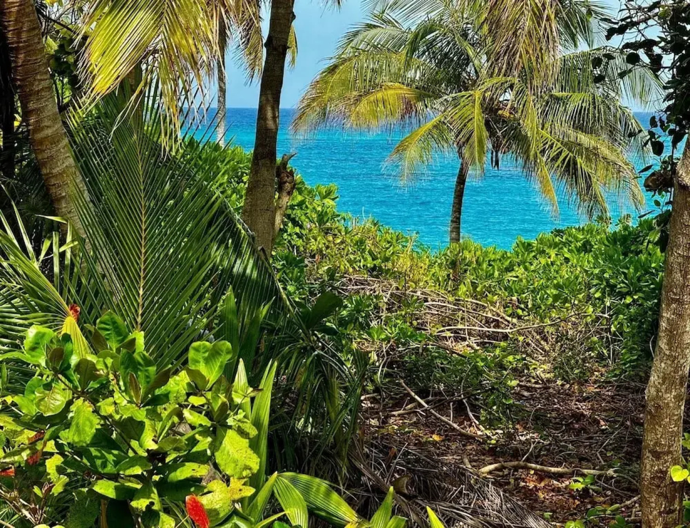 Trident Cottage 2 Bedroom Cottage