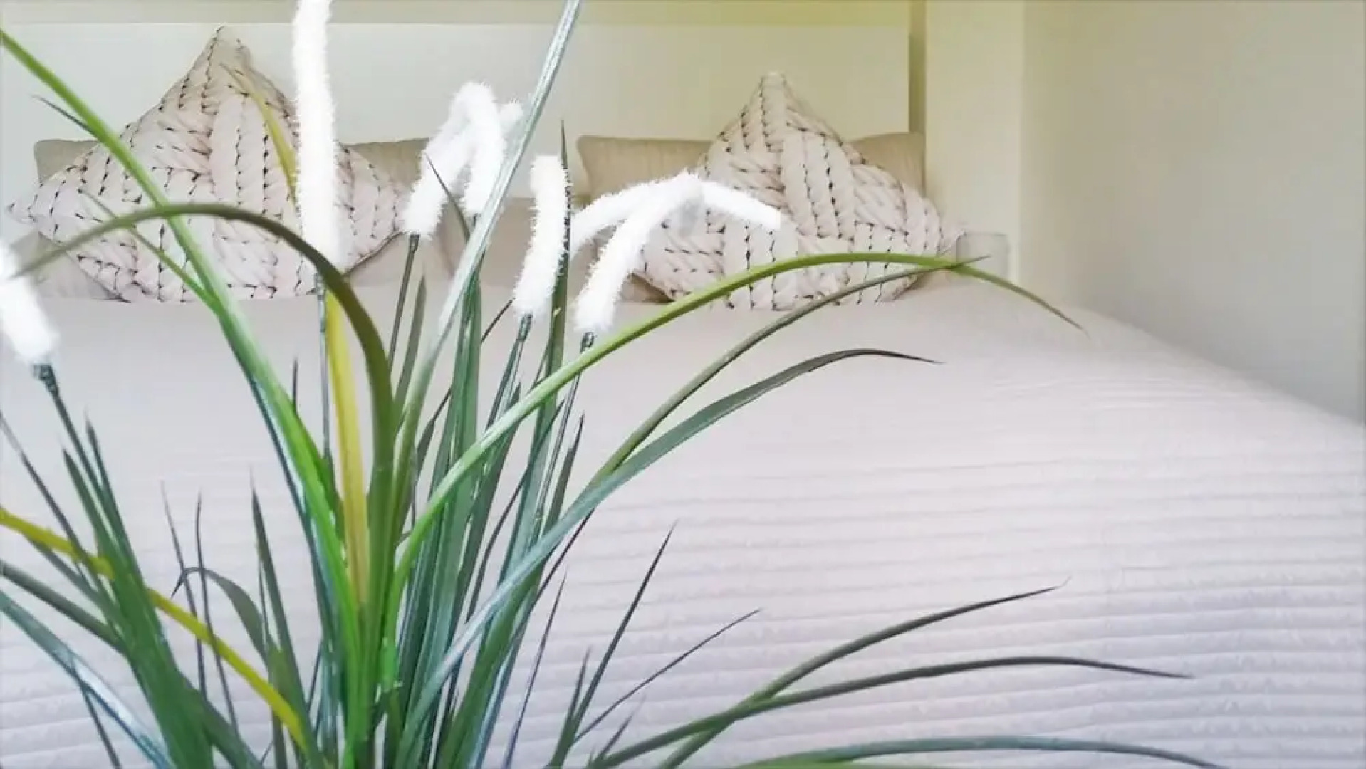 Schloss Gross Luesewitz