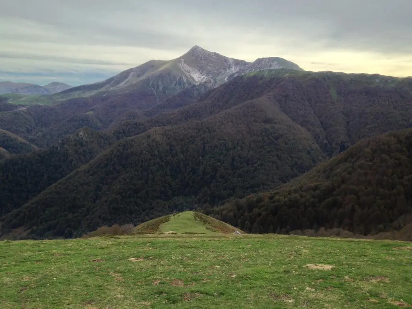 Hotel Rural Torre De Uriz