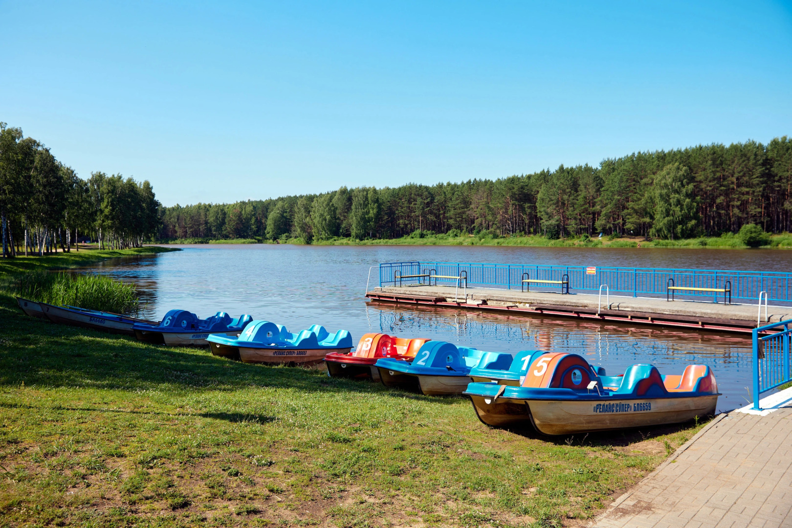 Sosnovyj bor, Minskaja oblast'