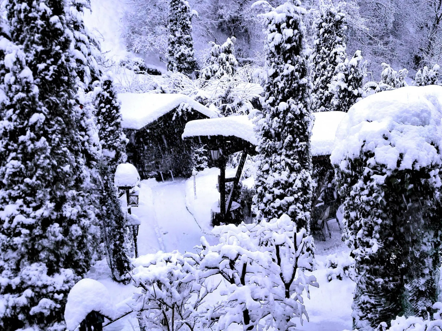 Wonderful Apartment in Herzberg ot Sieber With Barbecue