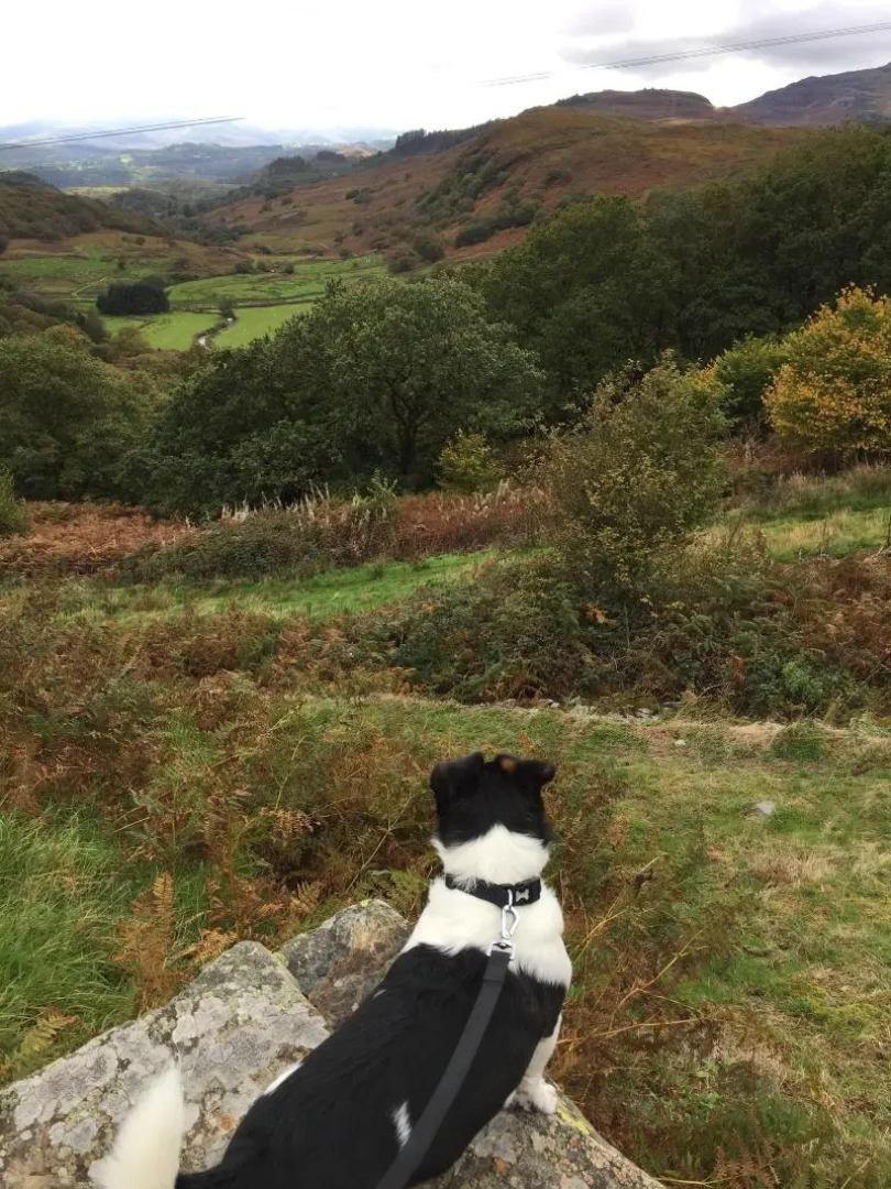 Pisgah Guest House Snowdonia