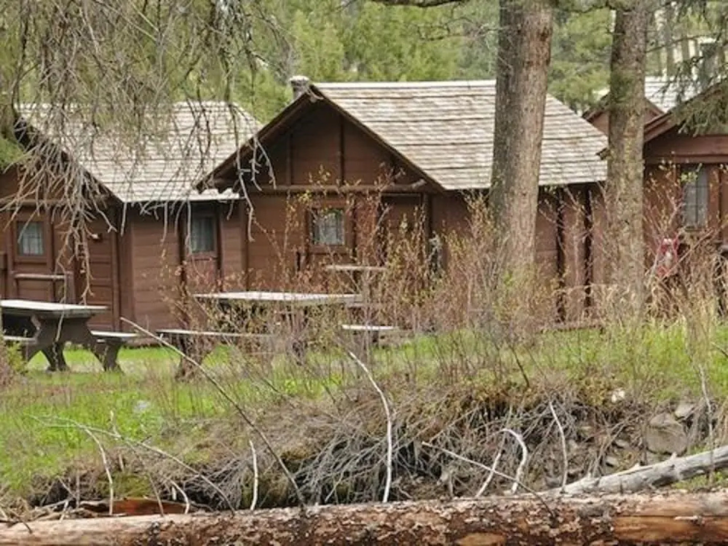 Roosevelt Lodge & Cabins - Inside the Park