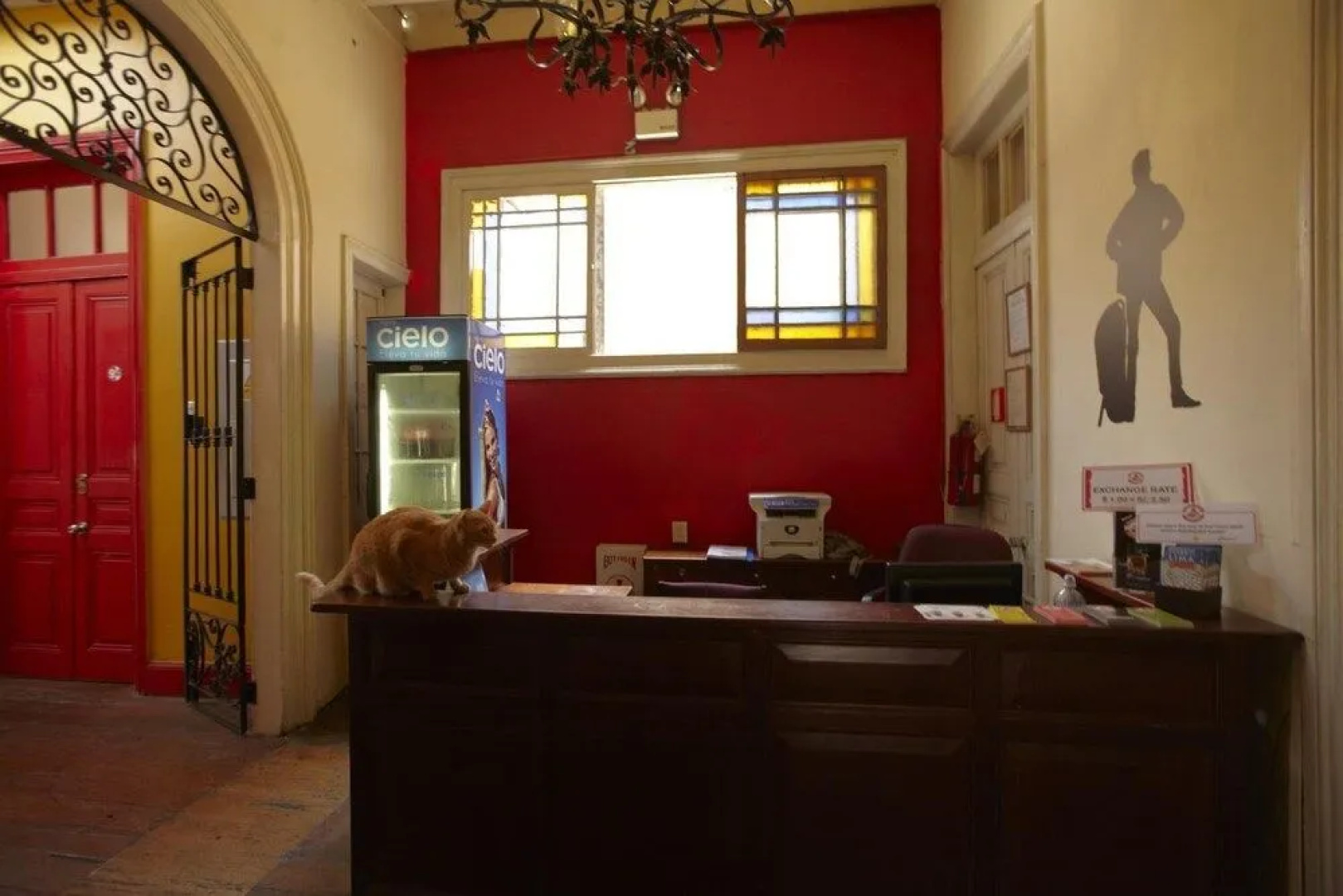 Flying Dog Backpackers Hostel