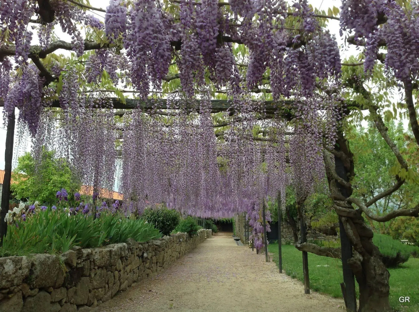 Casa de Santo António de Britiande