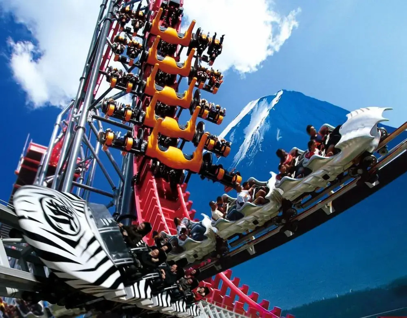 Log cabin rental & Finland Sauna Step House