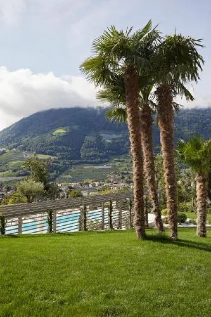 The View Luxury Suites