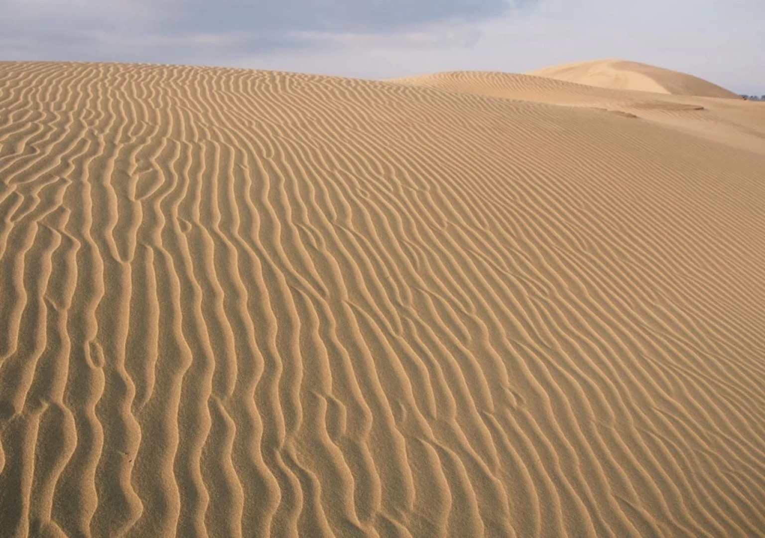 Ooedo Onsen Monogatari Kaike