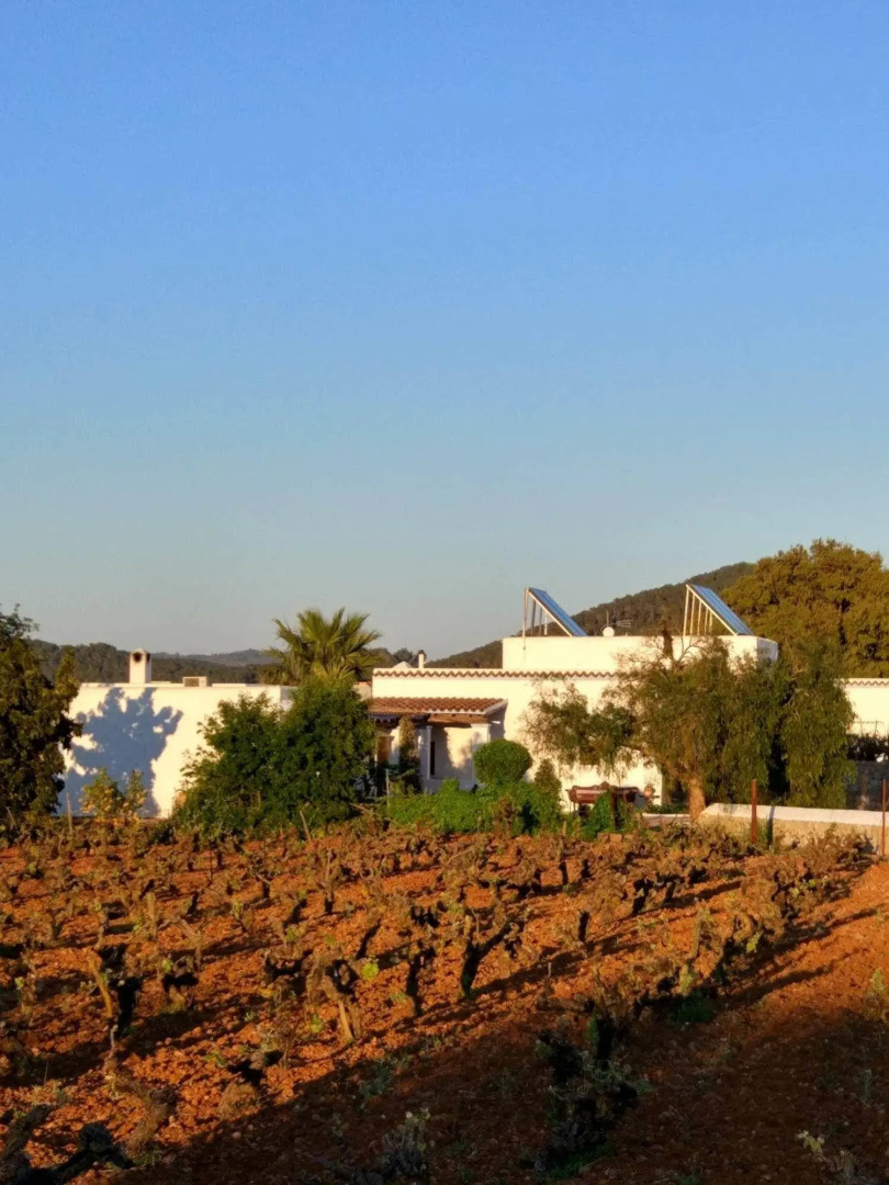 Agroturismo Sa Vinya d'en Palerm