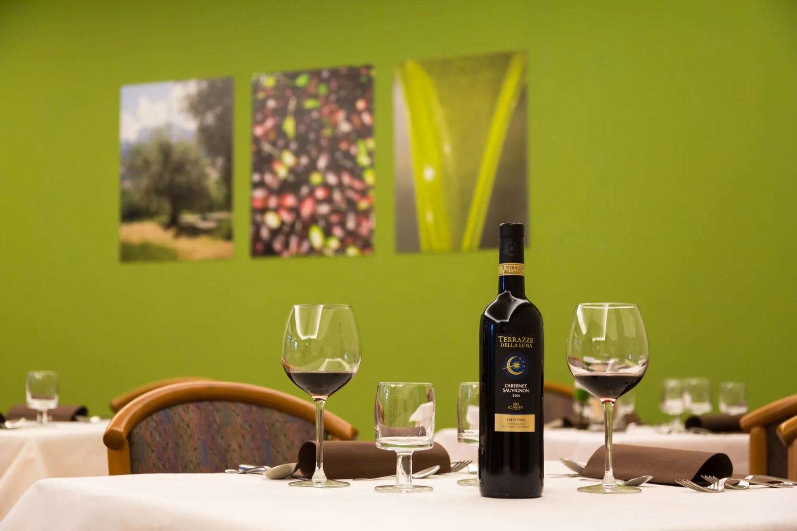 Hotel Brione Green Resort