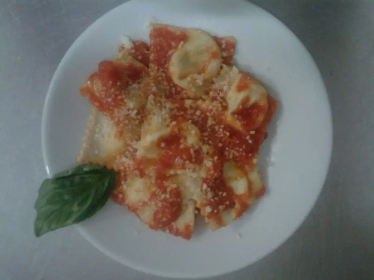 Agriturismo Agrifoglio