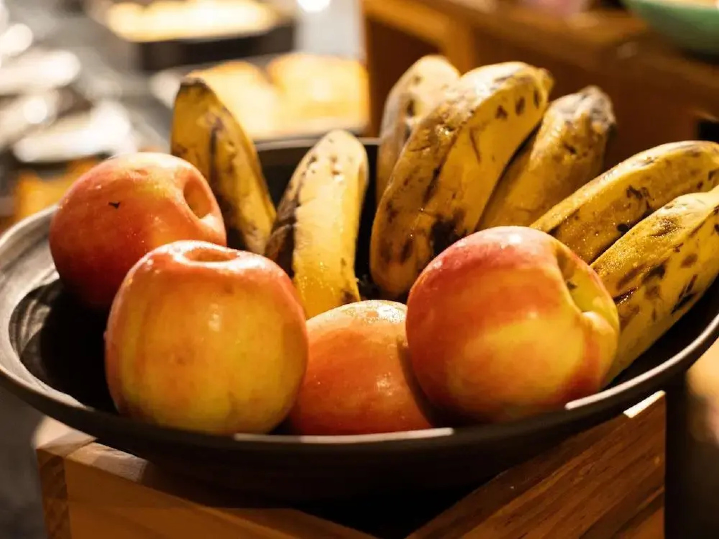 Ibis Barra Do Garcas