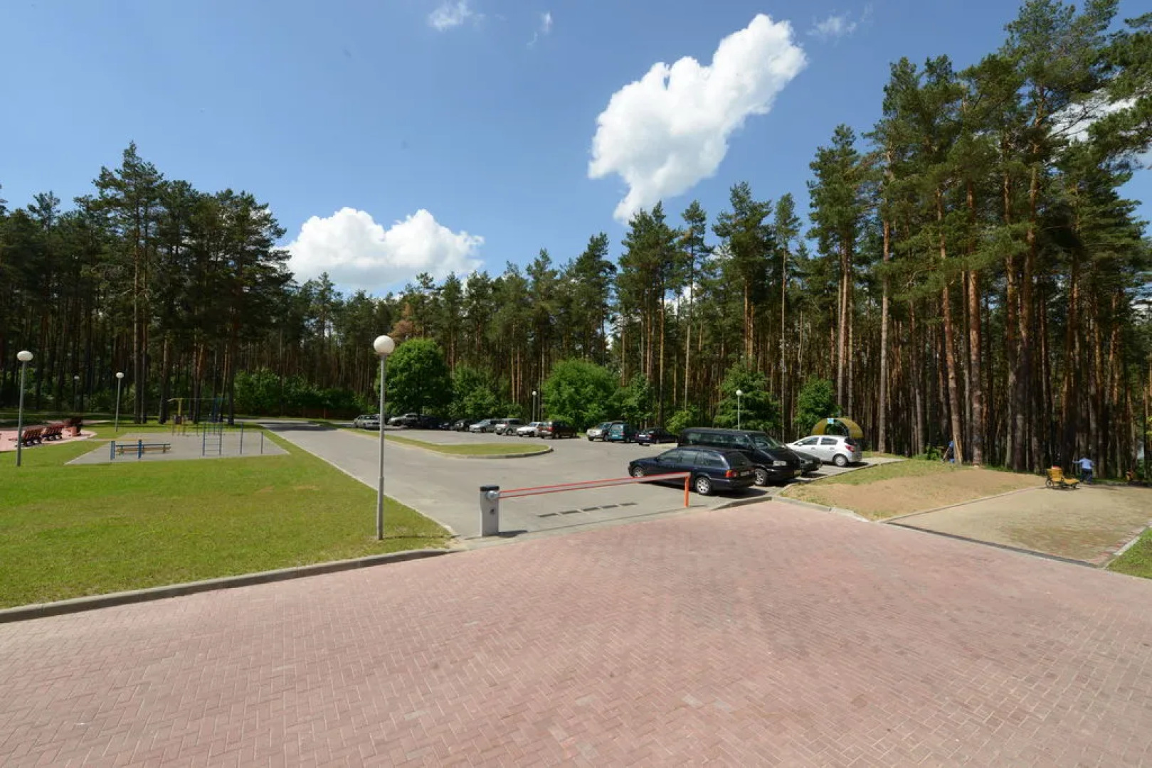 Сосны (Гомельская обл.)